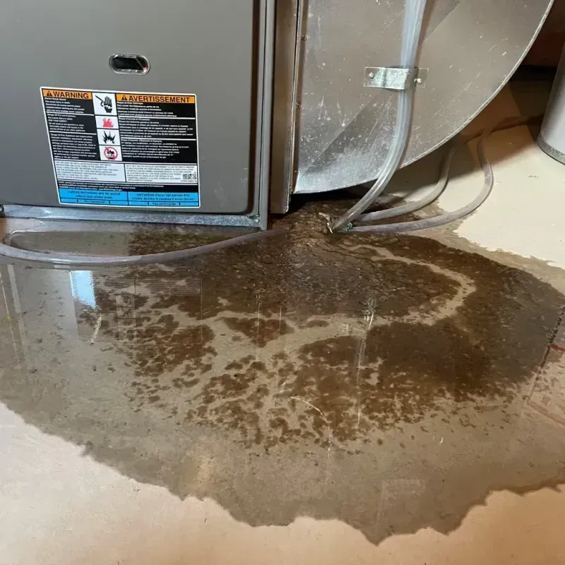 Appliance Leak Cleanup in West Hurley, NY